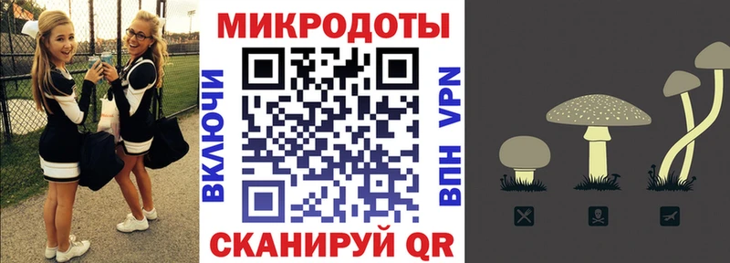 Псилоцибиновые грибы мицелий  Радужный 